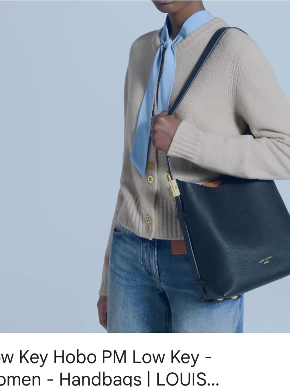 LV Black Leather Hobo Bag with Tan Accent